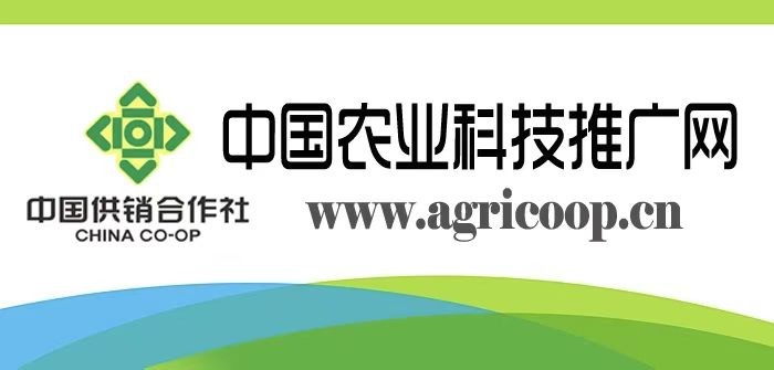 中国农业科技推广网
